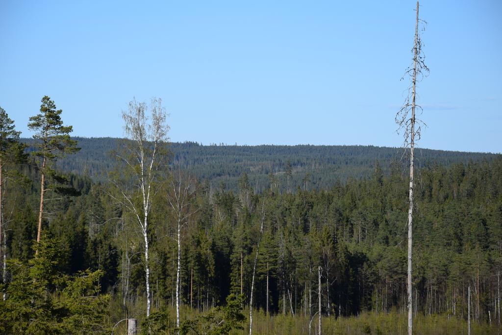 Kronobo Marieholm  Luaran gambar